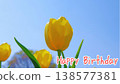 [Spring] Yellow tulips [Happy Birthday] bottom right 138577381