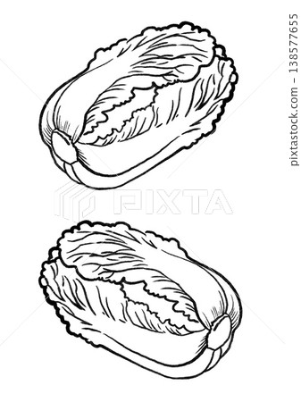 筆觸描繪的白菜 筆觸描繪的白菜 138577655