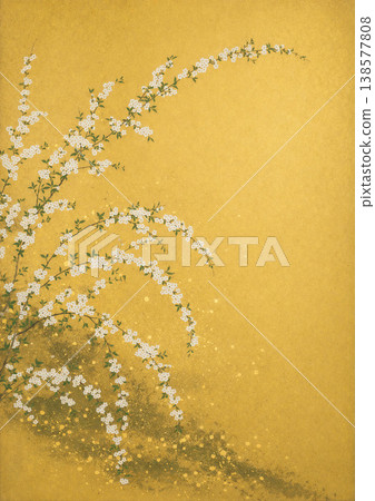 Spiraea against a gold leaf background 138577808