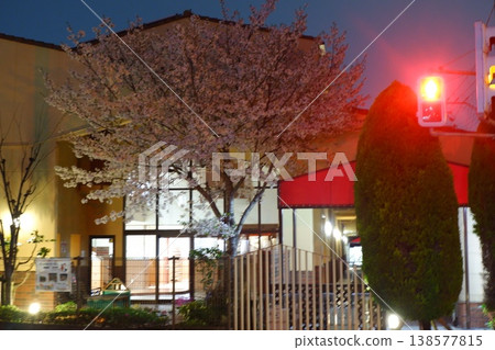 Cherry blossoms at night in a children's garden Cherry blossoms at night in a children's garden 138577815