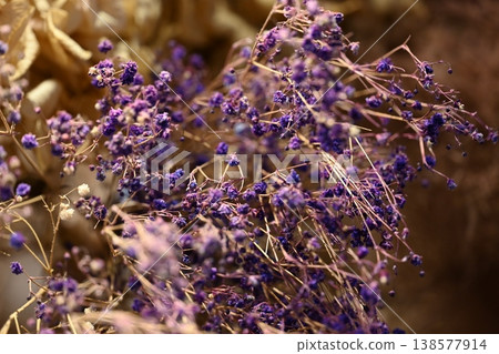 Dried flower Dried flower 138577914