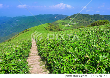 Izu Peninsula, Mount Daruma in summer, the ridgeline trail of the Izu Mountains through the grasslands 138578145