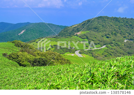 Summer view of Kinkanzan and Kodarumayama from Darumayama on the Izu mountain ridge trail of the Izu Peninsula. 138578146