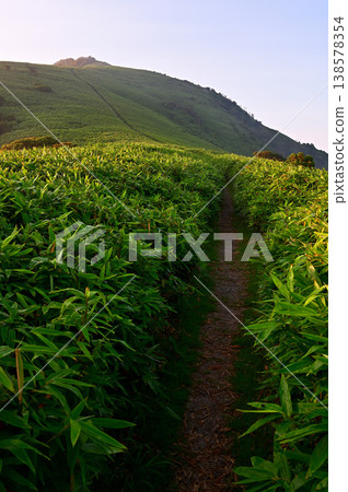 The Izu Mountain Ridge Trail on the Izu Peninsula: Grassland of Daruma Mountain bathed in the morning sun. The Izu Mountain Ridge Trail on the Izu Peninsula: Grassland of Daruma Mountain bathed in the morning sun. 138578354