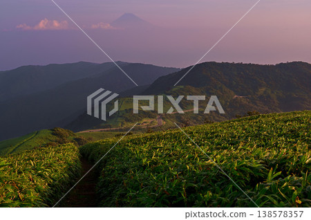 Mount Fuji and Kodaruma-yama as seen at sunrise from the hiking trail on Mount Daruma on the Izu Ridge Trail of the Izu Peninsula. Mount Fuji and Kodaruma-yama as seen at sunrise from the hiking trail on Mount Daruma on the Izu Ridge Trail of the Izu Peninsula. 138578357