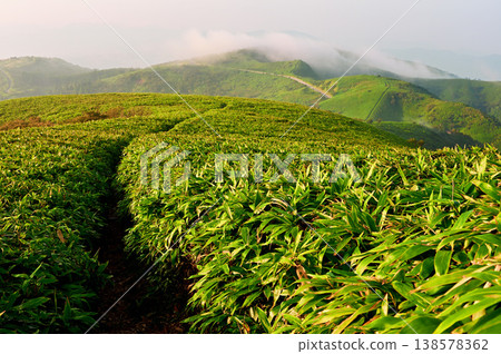 The Izu Ridge Trail on the Izu Peninsula: A view of the ridgeline trail, Mount Koki, and the West Izu Skyline from Mount Daruma. The Izu Ridge Trail on the Izu Peninsula: A view of the ridgeline trail, Mount Koki, and the West Izu Skyline from Mount Daruma. 138578362