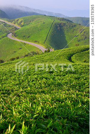 伊豆半島的伊豆山脊步道:從達摩山上眺望通往草原的山脊步道和西伊豆天際線。 伊豆半島的伊豆山脊步道:從達摩山上眺望通往草原的山脊步道和西伊豆天際線。 138578365