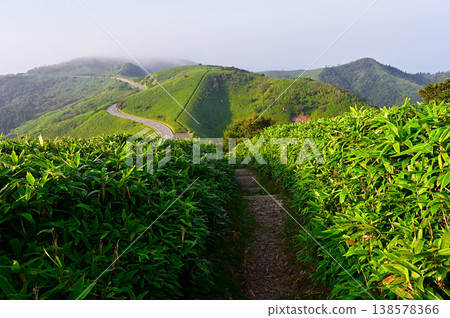 伊豆半島的伊豆山脊步道:從達摩山上可以看到通往草原的山脊步道,以及高岐山和西伊豆天際線。 伊豆半島的伊豆山脊步道:從達摩山上可以看到通往草原的山脊步道,以及高岐山和西伊豆天際線。 138578366
