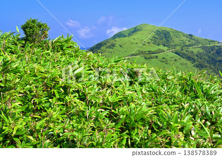 The Izu Mountain Ridge Trail on the Izu Peninsula: The West Izu Skyline runs through the summer green grasslands of Mt. Daruma. 138578389