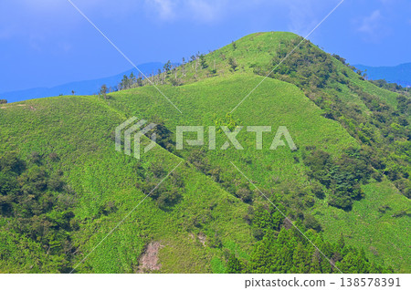 Izu Mountain Ridge Trail on the Izu Peninsula: Summer green mountains from Kokiyama 138578391