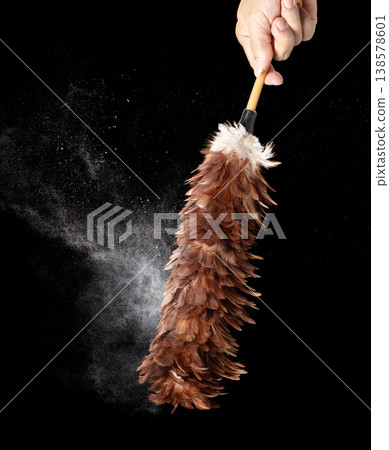 Old Traditional Feather Duster stick made from Chicken to clean house dust and web. Room Ceiling and window covered with dust bunnies, cobweb. Black background isolated Old Traditional Feather Duster stick made from Chicken to clean house dust and web. Room Ceiling and window covered with dust bunnies, cobweb. Black background isolated 138578601