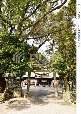 Torii gate and worship hall of Kameyama Shrine in Kameyama City, Mie Prefecture 138579824
