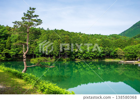 Yokkaichi City Youth Nature Center (Mizusawa-cho, Yokkaichi City, Mie Prefecture) 138580368
