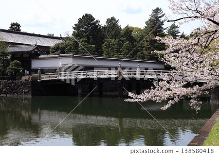皇宮平川門的櫻花 皇宮平川門的櫻花 138580418