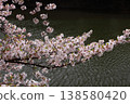 護城河櫻桃樹 138580420