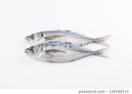 Horse mackerel Horse mackerel 138580515