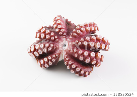 章魚 章魚 138580524