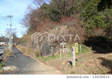 On the Okumusashi Nature Trail in winter (Entrance: Route 299 → Hohoemi-no-Oka) 138580619