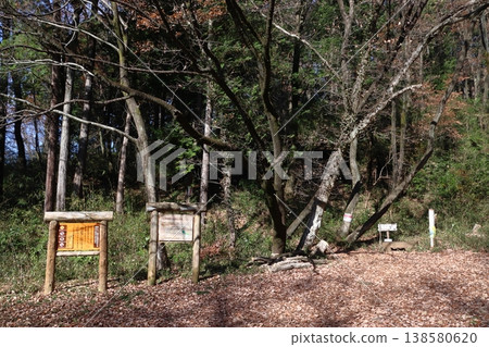 On the Okumusashi Nature Trail in winter (Route 299 → Hohoemi-no-Oka) 138580620