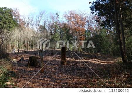 冬季奧武藏自然步道(Hohoemi no Oka) 冬季奧武藏自然步道(Hohoemi no Oka) 138580625
