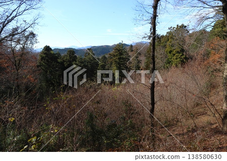 On the Okumusashi Nature Trail in winter (Haginomine) On the Okumusashi Nature Trail in winter (Haginomine) 138580630