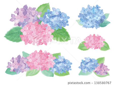 一組5幅色彩鮮豔的手繪水彩繡球花插圖。 138580767