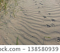 Dog and bird footprints found on the beach 138580939
