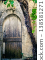 Door and vine 138581271