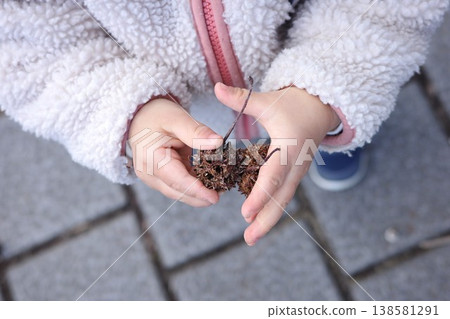 一個蹣跚學步的孩子雙手捧著冬天散步時撿到的堅果和種子。 一個蹣跚學步的孩子雙手捧著冬天散步時撿到的堅果和種子。 138581291