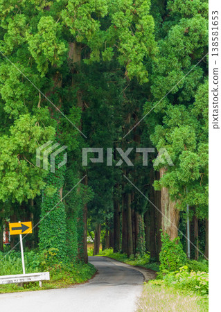 250814 Approach to Kitano Tenmangu Shrine, Sakae Village, Nagano Prefecture 138581653