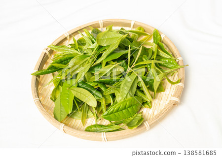 The first tea leaves that sprouted in early summer and were picked 138581685