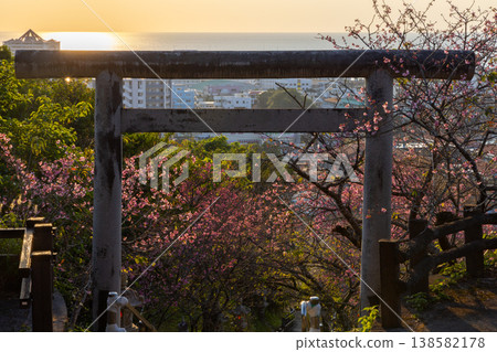 Okinawa Prefecture Nago City, Nago Castle Park, early-blooming Ryukyu winter cherry blossoms decorating the torii gates on the approach to Nago Shrine and the sunset sky over Nago Bay Okinawa Prefecture Nago City, Nago Castle Park, early-blooming Ryukyu winter cherry blossoms decorating the torii gates on the approach to Nago Shrine and the sunset sky over Nago Bay 138582178