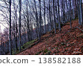 The slope 138582188