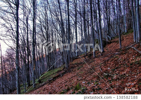 The slope 138582188