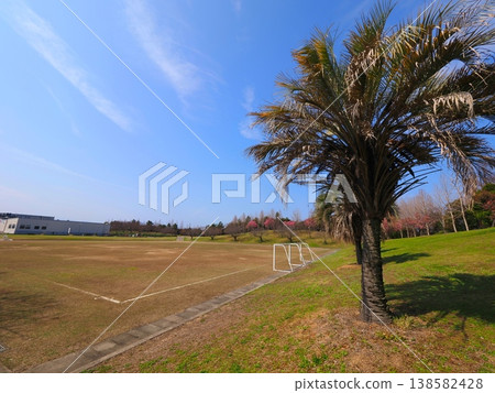 Yamada Fureai Green Space, Yoko Cherry Blossoms and Soccer Field, Kanonji City, Kagawa Prefecture 2 Yamada Fureai Green Space, Yoko Cherry Blossoms and Soccer Field, Kanonji City, Kagawa Prefecture 2 138582428