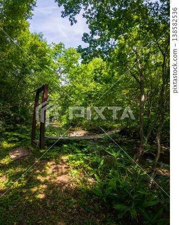 250817 Nagano Prefecture, Okushiga Valley, Zakogawa Suspension Bridge 138582536