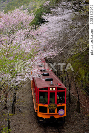 Sagano Scenic Railway Torokko Train Sagano No. 5 Sagano Scenic Railway Torokko Train Sagano No. 5 138583142