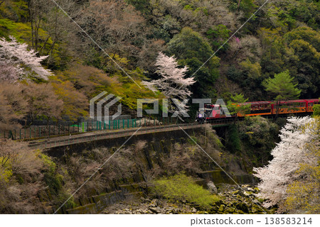 The Sagano No. 4 trolley train travels along the Hozugawa River. 138583214