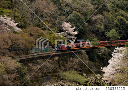 The Sagano No. 4 trolley train travels along the Hozugawa River. 138583215