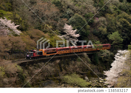 The Sagano No. 4 trolley train travels along the Hozugawa River. The Sagano No. 4 trolley train travels along the Hozugawa River. 138583217