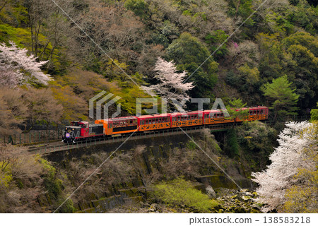 嵯峨野4號電車沿著保津川行駛。 138583218