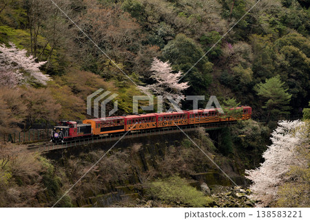 The Sagano No. 4 trolley train travels along the Hozugawa River. The Sagano No. 4 trolley train travels along the Hozugawa River. 138583221