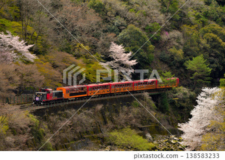嵯峨野4號電車沿著保津川行駛。 138583233
