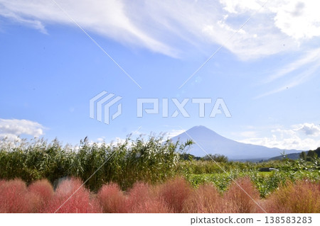 Kokia Fujisan Kokia Fujisan 138583283