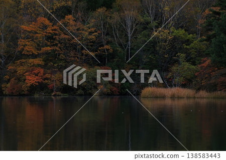 Autumn leaves reflected on the water Autumn leaves reflected on the water 138583443