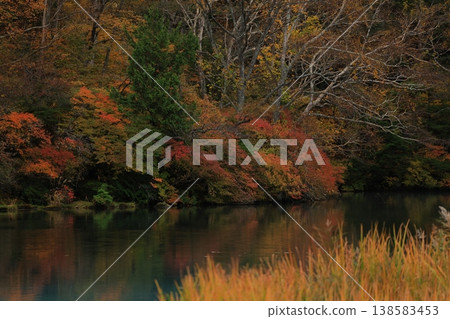Autumn leaves reflected on the water Autumn leaves reflected on the water 138583453