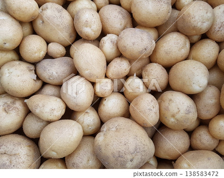 Potato Potato 138583472