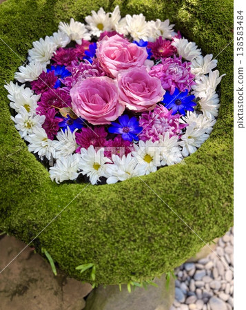 Colorful floral arrangements in the water basin in March (roses, cineraria, chrysanthemums) at Sugao Shrine in Okazaki City, Aichi Prefecture. Colorful floral arrangements in the water basin in March (roses, cineraria, chrysanthemums) at Sugao Shrine in Okazaki City, Aichi Prefecture. 138583484