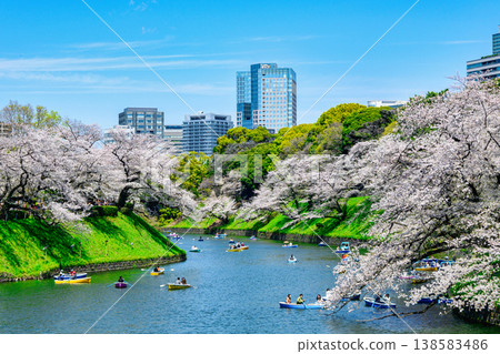 Chidorigafuchi Boating Area, Tokyo: Cherry blossoms in full bloom, 2026 Chidorigafuchi Boating Area, Tokyo: Cherry blossoms in full bloom, 2026 138583486