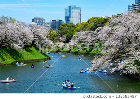 Chidorigafuchi Boating Area, Tokyo: Cherry blossoms in full bloom, 2026 Chidorigafuchi Boating Area, Tokyo: Cherry blossoms in full bloom, 2026 138583487